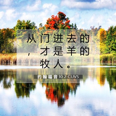 Picture 07 - 约 翰 福 音 10:2 CUVS - 从 门 进 去 的 ， 才 是 羊 的 牧 人 - Bible Verse Picture