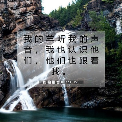 Picture 07 - 约 翰 福 音 10:27 CUVS - 我 的 羊 听 我 的 声 音 ， 我 也 认 - Bible Verse Picture