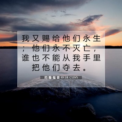 Picture 07 - 约 翰 福 音 10:28 CUVS - 我 又 赐 给 他 们 永 生 ； 他 们 永 - Bible Verse Picture