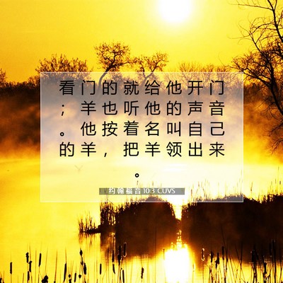 Picture 07 - 约 翰 福 音 10:3 CUVS - 看 门 的 就 给 他 开 门 ； 羊 也 听 - Bible Verse Picture
