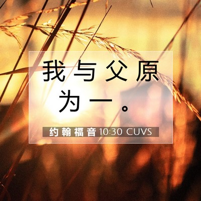 Picture 07 - 约 翰 福 音 10:30 CUVS - 我 与 父 原 为 一 - Bible Verse Picture