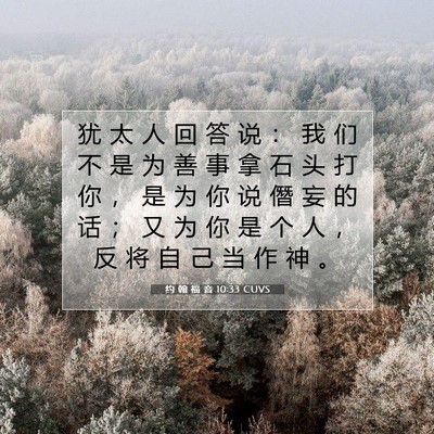 Picture 07 - 约 翰 福 音 10:33 CUVS - 犹 太 人 回 答 说 ： 我 们 不 是 为 - Bible Verse Picture