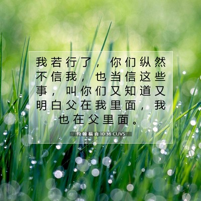 Picture 07 - 约 翰 福 音 10:38 CUVS - 我 若 行 了 ， 你 们 纵 然 不 信 我 - Bible Verse Picture