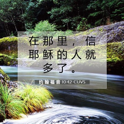 Picture 07 - 约 翰 福 音 10:42 CUVS - 在 那 里 ， 信 耶 稣 的 人 就 多 了 - Bible Verse Picture