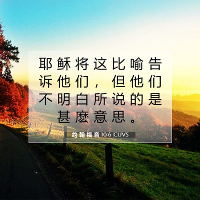 Picture 07 - 约 翰 福 音 10:6 CUVS - 耶 稣 将 这 比 喻 告 诉 他 们 ， 但 - Bible Verse Picture