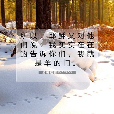 Picture 07 - 约 翰 福 音 10:7 CUVS - 所 以 ， 耶 稣 又 对 他 们 说 ： 我 - Bible Verse Picture