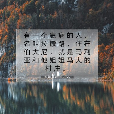 Picture 07 - 约 翰 福 音 11:1 CUVS - 有 一 个 患 病 的 人 ， 名 叫 拉 撒 - Bible Verse Picture