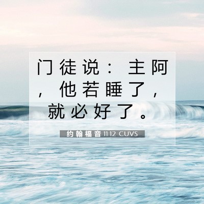 Picture 07 - 约 翰 福 音 11:12 CUVS - 门 徒 说 ： 主 阿 ， 他 若 睡 了 ， - Bible Verse Picture