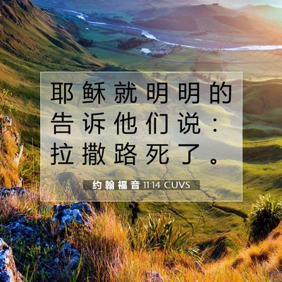Picture 07 - 约 翰 福 音 11:14 CUVS - 耶 稣 就 明 明 的 告 诉 他 们 说 ： - Bible Verse Picture