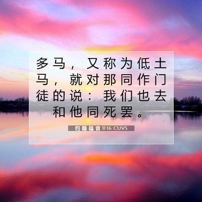 Picture 07 - 约 翰 福 音 11:16 CUVS - 多 马 ， 又 称 为 低 土 马 ， 就 对 - Bible Verse Picture