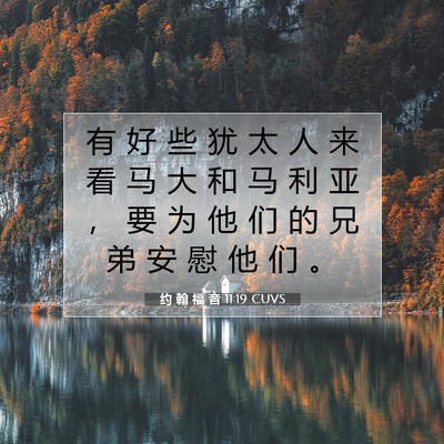 Picture 07 - 约 翰 福 音 11:19 CUVS - 有 好 些 犹 太 人 来 看 马 大 和 马 - Bible Verse Picture