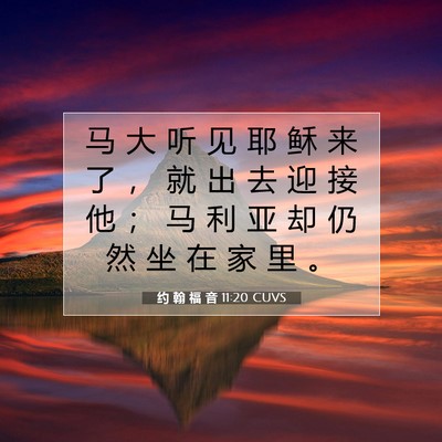 Picture 07 - 约 翰 福 音 11:20 CUVS - 马 大 听 见 耶 稣 来 了 ， 就 出 去 - Bible Verse Picture