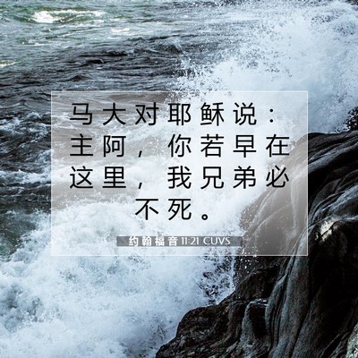 Picture 07 - 约 翰 福 音 11:21 CUVS - 马 大 对 耶 稣 说 ： 主 阿 ， 你 若 - Bible Verse Picture