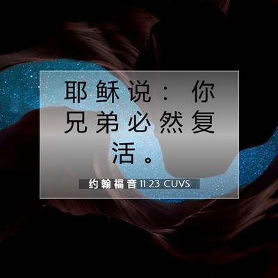 Picture 07 - 约 翰 福 音 11:23 CUVS - 耶 稣 说 ： 你 兄 弟 必 然 复 活 - Bible Verse Picture