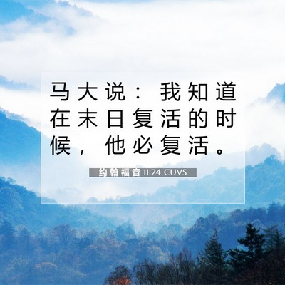 Picture 07 - 约 翰 福 音 11:24 CUVS - 马 大 说 ： 我 知 道 在 末 日 复 活 - Bible Verse Picture