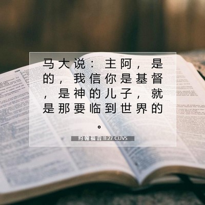 Picture 07 - 约 翰 福 音 11:27 CUVS - 马 大 说 ： 主 阿 ， 是 的 ， 我 信 - Bible Verse Picture
