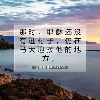 Picture 07 - 约 翰 福 音 11:30 CUVS - 那 时 ， 耶 稣 还 没 有 进 村 子 ， - Bible Verse Picture