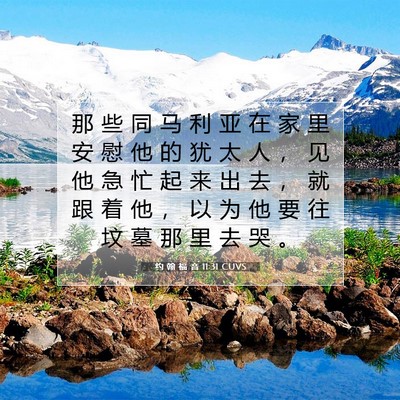 Picture 07 - 约 翰 福 音 11:31 CUVS - 那 些 同 马 利 亚 在 家 里 安 慰 他 - Bible Verse Picture