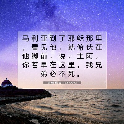 Picture 07 - 约 翰 福 音 11:32 CUVS - 马 利 亚 到 了 耶 稣 那 里 ， 看 见 - Bible Verse Picture