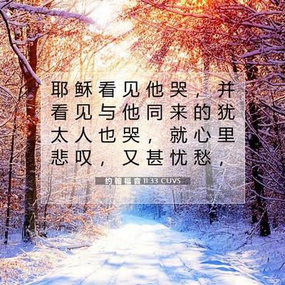 Picture 07 - 约 翰 福 音 11:33 CUVS - 耶 稣 看 见 他 哭 ， 并 看 见 与 他 - Bible Verse Picture