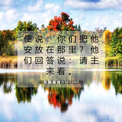 Picture 07 - 约 翰 福 音 11:34 CUVS - 便 说 ： 你 们 把 他 安 放 在 那 里 - Bible Verse Picture