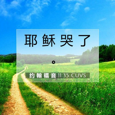 Picture 07 - 约 翰 福 音 11:35 CUVS - 耶 稣 哭 了 - Bible Verse Picture