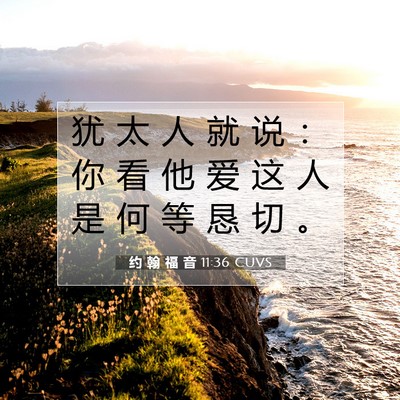 Picture 07 - 约 翰 福 音 11:36 CUVS - 犹 太 人 就 说 ： 你 看 他 爱 这 人 - Bible Verse Picture