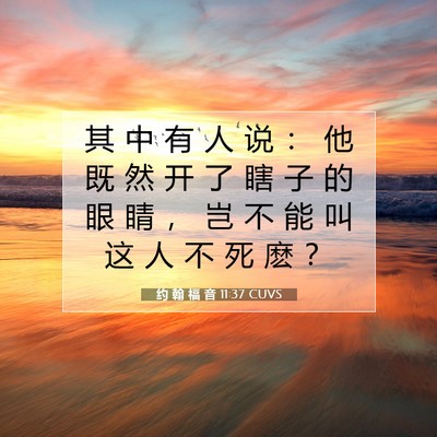 Picture 07 - 约 翰 福 音 11:37 CUVS - 其 中 有 人 说 ： 他 既 然 开 了 瞎 - Bible Verse Picture