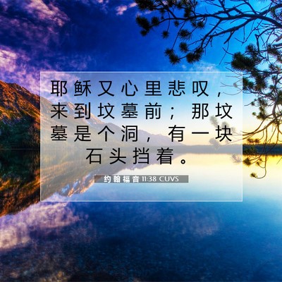 Picture 07 - 约 翰 福 音 11:38 CUVS - 耶 稣 又 心 里 悲 叹 ， 来 到 坟 墓 - Bible Verse Picture