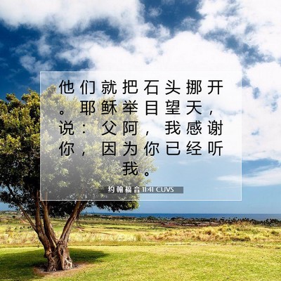 Picture 07 - 约 翰 福 音 11:41 CUVS - 他 们 就 把 石 头 挪 开 。 耶 稣 举 - Bible Verse Picture