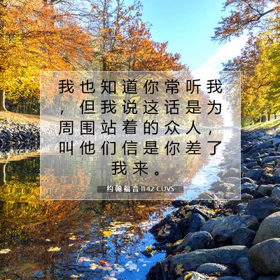 Picture 07 - 约 翰 福 音 11:42 CUVS - 我 也 知 道 你 常 听 我 ， 但 我 说 - Bible Verse Picture