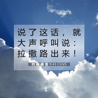 Picture 07 - 约 翰 福 音 11:43 CUVS - 说 了 这 话 ， 就 大 声 呼 叫 说 ： - Bible Verse Picture