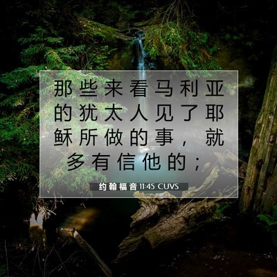 Picture 07 - 约 翰 福 音 11:45 CUVS - 那 些 来 看 马 利 亚 的 犹 太 人 见 - Bible Verse Picture