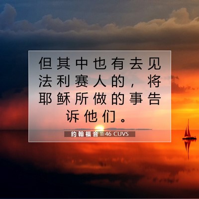 Picture 07 - 约 翰 福 音 11:46 CUVS - 但 其 中 也 有 去 见 法 利 赛 人 的 - Bible Verse Picture