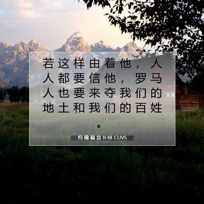 Picture 07 - 约 翰 福 音 11:48 CUVS - 若 这 样 由 着 他 ， 人 人 都 要 信 - Bible Verse Picture