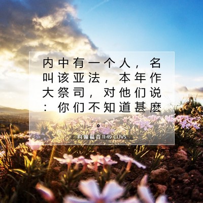Picture 07 - 约 翰 福 音 11:49 CUVS - 内 中 有 一 个 人 ， 名 叫 该 亚 法 - Bible Verse Picture