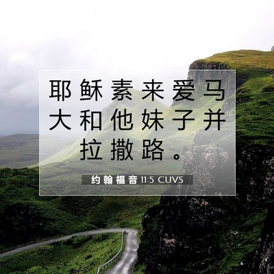 Picture 07 - 约 翰 福 音 11:5 CUVS - 耶 稣 素 来 爱 马 大 和 他 妹 子 并 - Bible Verse Picture