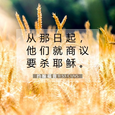 Picture 07 - 约 翰 福 音 11:53 CUVS - 从 那 日 起 ， 他 们 就 商 议 要 杀 - Bible Verse Picture