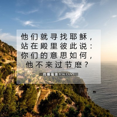Picture 07 - 约 翰 福 音 11:56 CUVS - 他 们 就 寻 找 耶 稣 ， 站 在 殿 里 - Bible Verse Picture