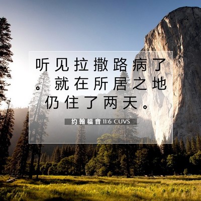 Picture 07 - 约 翰 福 音 11:6 CUVS - 听 见 拉 撒 路 病 了 。 就 在 所 居 - Bible Verse Picture