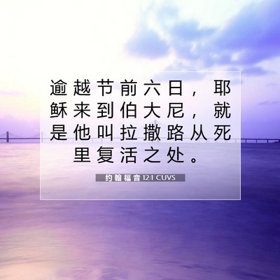 Picture 07 - 约 翰 福 音 12:1 CUVS - 逾 越 节 前 六 日 ， 耶 稣 来 到 伯 - Bible Verse Picture