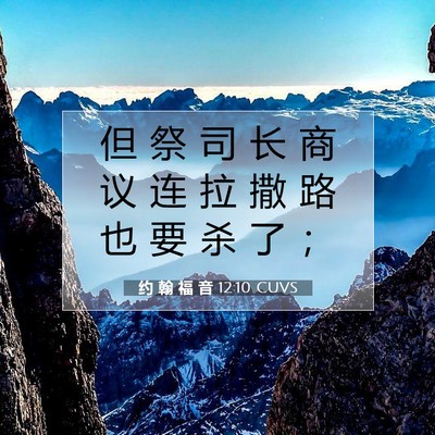Picture 07 - 约 翰 福 音 12:10 CUVS - 但 祭 司 长 商 议 连 拉 撒 路 也 要 - Bible Verse Picture