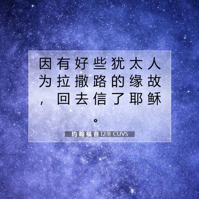 Picture 07 - 约 翰 福 音 12:11 CUVS - 因 有 好 些 犹 太 人 为 拉 撒 路 的 - Bible Verse Picture