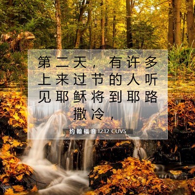 Picture 07 - 约 翰 福 音 12:12 CUVS - 第 二 天 ， 有 许 多 上 来 过 节 的 - Bible Verse Picture