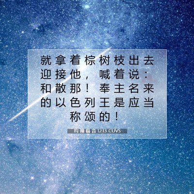 Picture 07 - 约 翰 福 音 12:13 CUVS - 就 拿 着 棕 树 枝 出 去 迎 接 他 ， - Bible Verse Picture