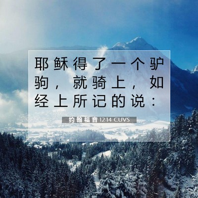 Picture 07 - 约 翰 福 音 12:14 CUVS - 耶 稣 得 了 一 个 驴 驹 ， 就 骑 上 - Bible Verse Picture