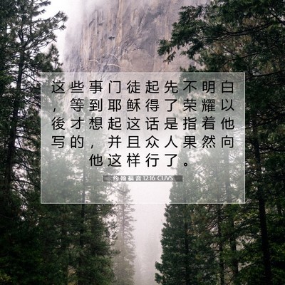 Picture 07 - 约 翰 福 音 12:16 CUVS - 这 些 事 门 徒 起 先 不 明 白 ， 等 - Bible Verse Picture