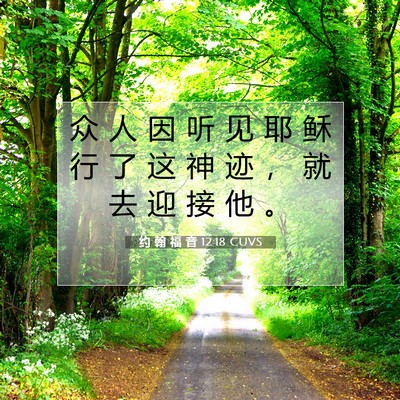 Picture 07 - 约 翰 福 音 12:18 CUVS - 众 人 因 听 见 耶 稣 行 了 这 神 迹 - Bible Verse Picture