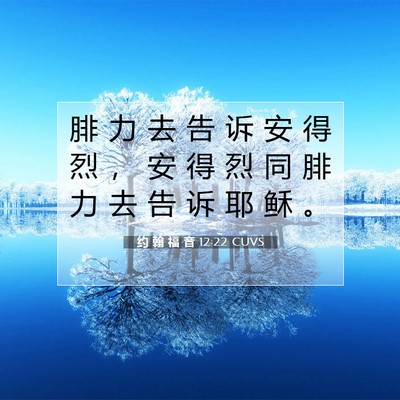 Picture 07 - 约 翰 福 音 12:22 CUVS - 腓 力 去 告 诉 安 得 烈 ， 安 得 烈 - Bible Verse Picture