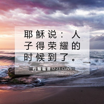 Picture 07 - 约 翰 福 音 12:23 CUVS - 耶 稣 说 ： 人 子 得 荣 耀 的 时 候 - Bible Verse Picture
